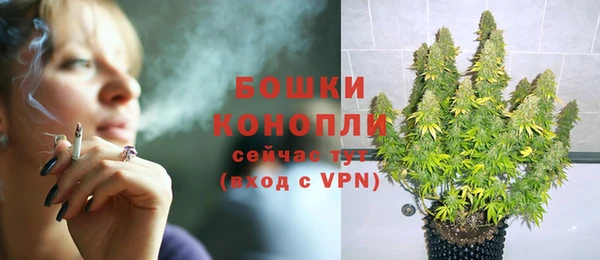 амф Верея